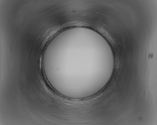 X0000090980014200708021151