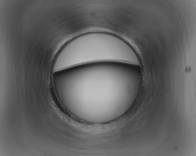 X0000090980015200708021151