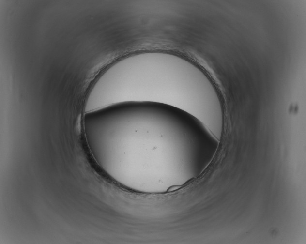 X0000090980019200708021151