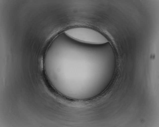 X0000090980020200708021151