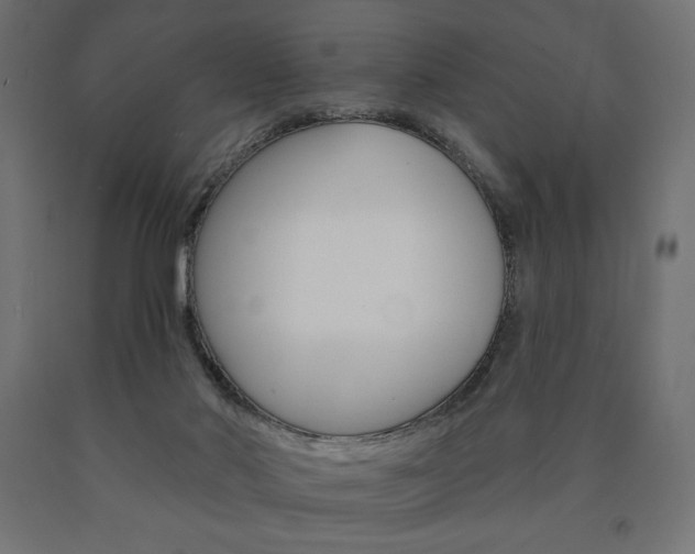 X0000090980022200708021151