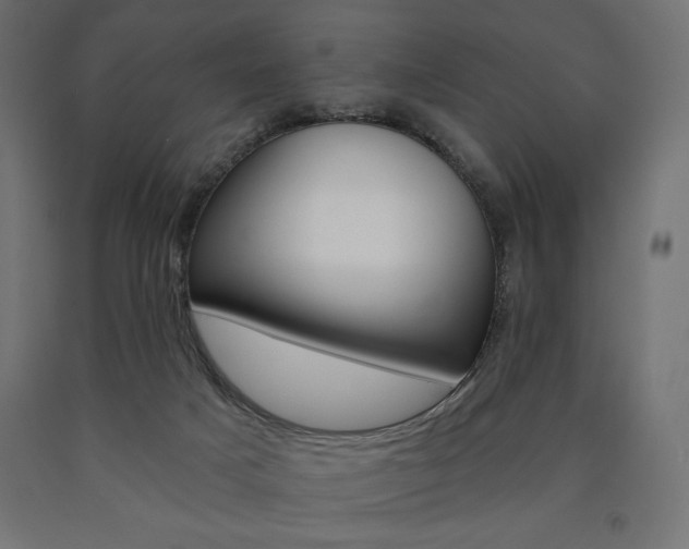 X0000090980025200708021151