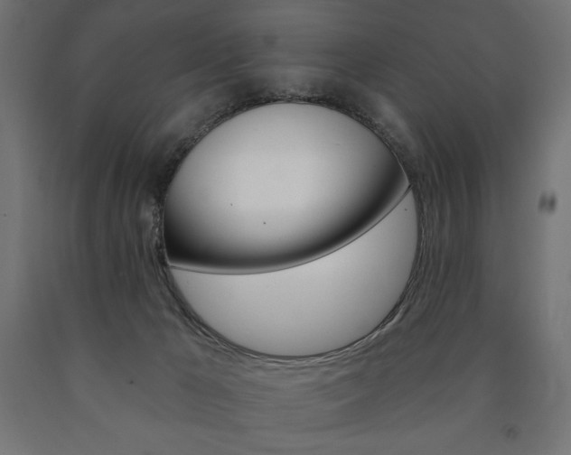 X0000090980029200708021151