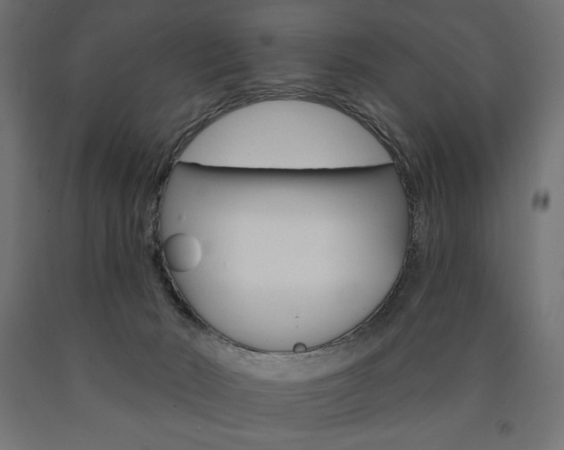 X0000090980030200708021151