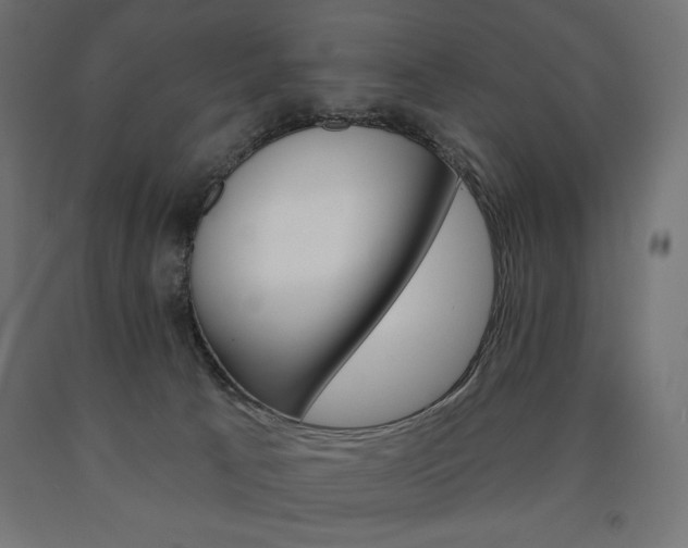 X0000090980033200708021151