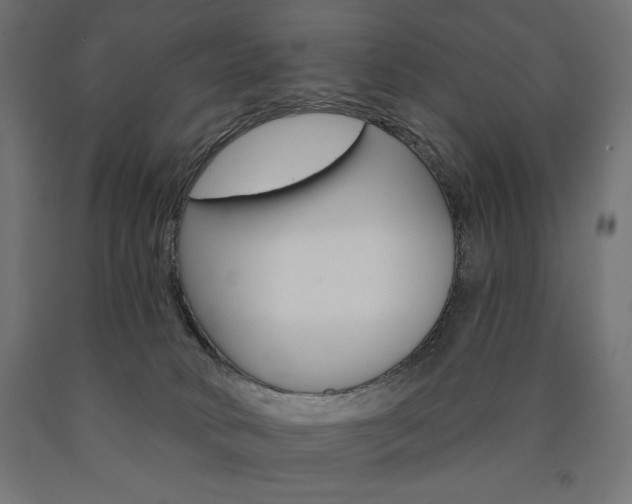 X0000090980034200708021151