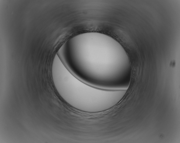 X0000090980035200708021151