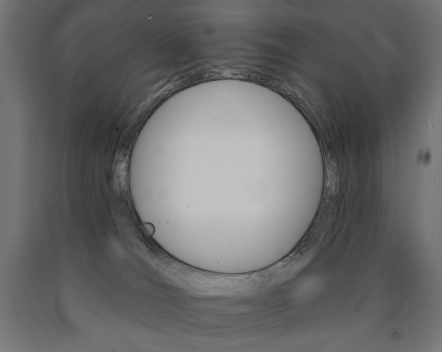 X0000090980036200708021151