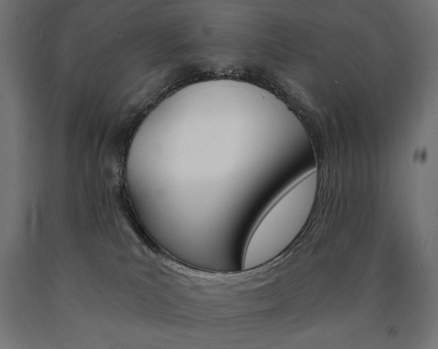 X0000090980039200708021150