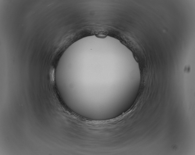 X0000090980041200708021150