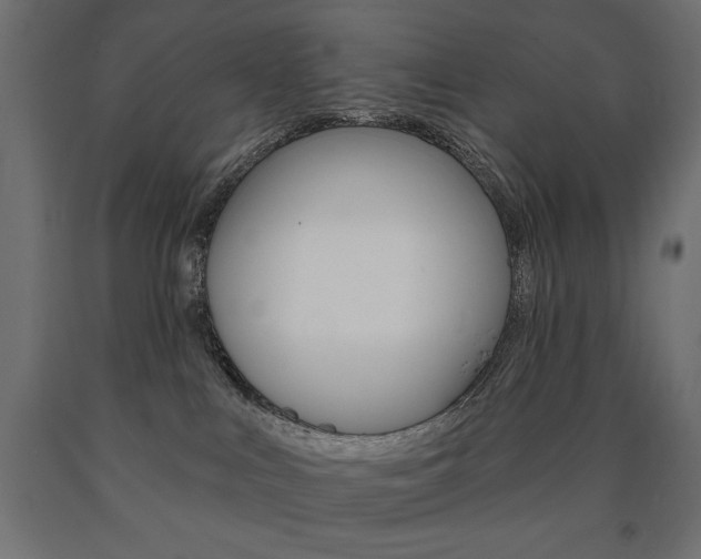 X0000090980043200708021150