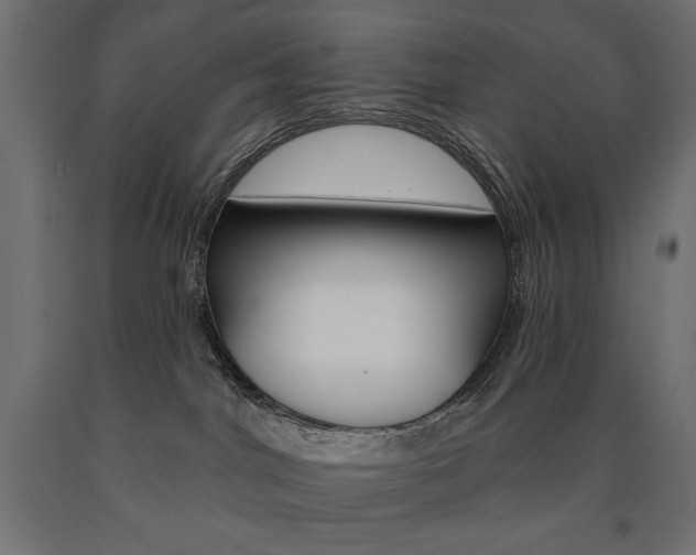 X0000090980044200708021150