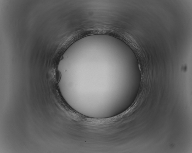 X0000090980045200708021150
