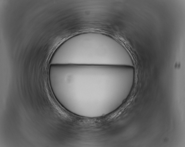 X0000090980049200708021150