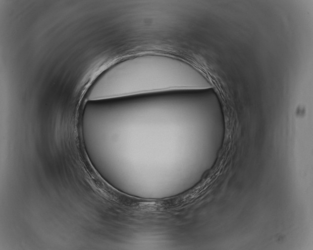 X0000090980050200708021150