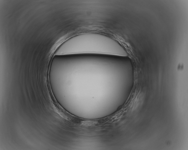X0000090980051200708021150