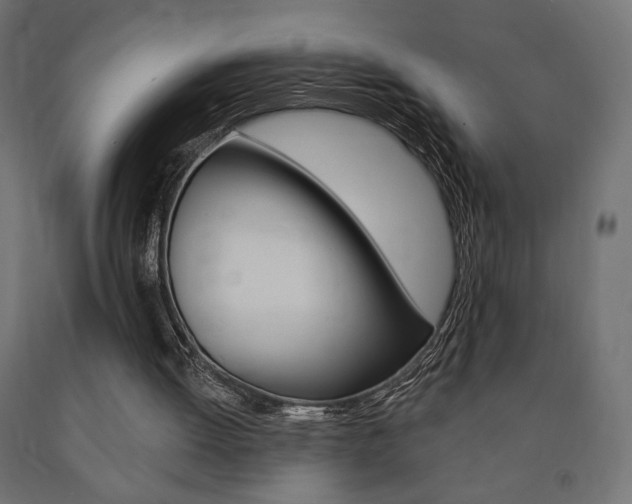 X0000090980052200708021150