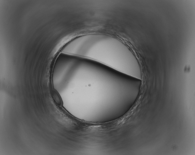 X0000090980054200708021150