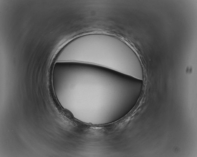 X0000090980055200708021150