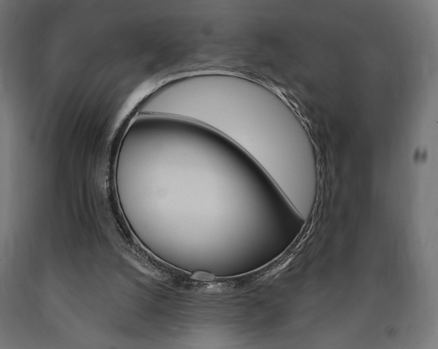X0000090980056200708021150
