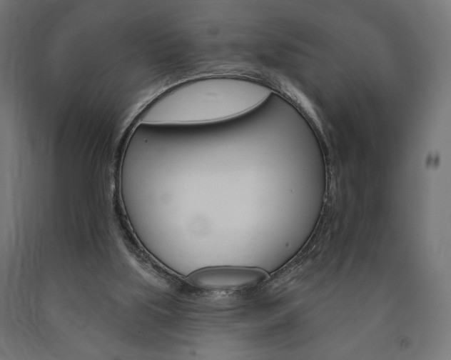 X0000090980059200708021150
