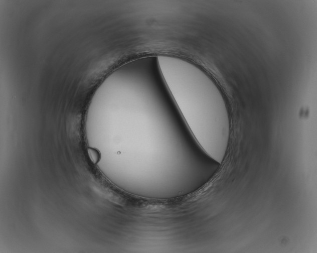 X0000090980066200708021150