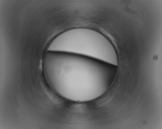 X0000090980067200708021150