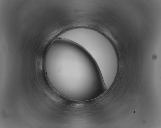 X0000090980068200708021150