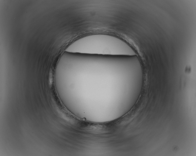 X0000090980069200708021150