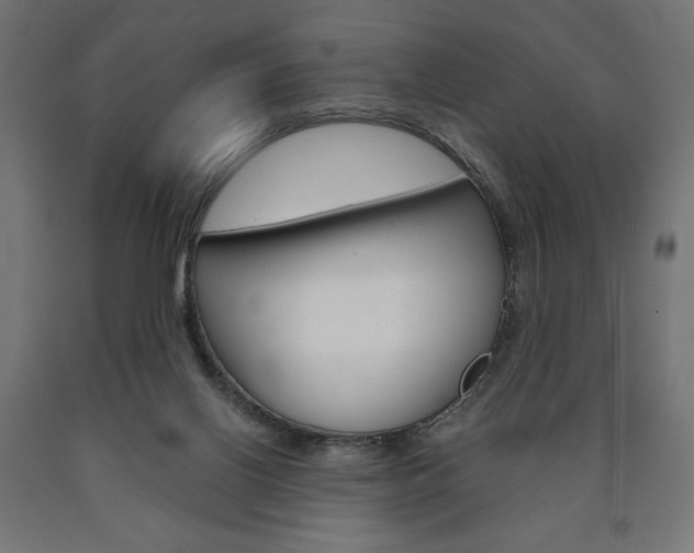 X0000090980070200708021150