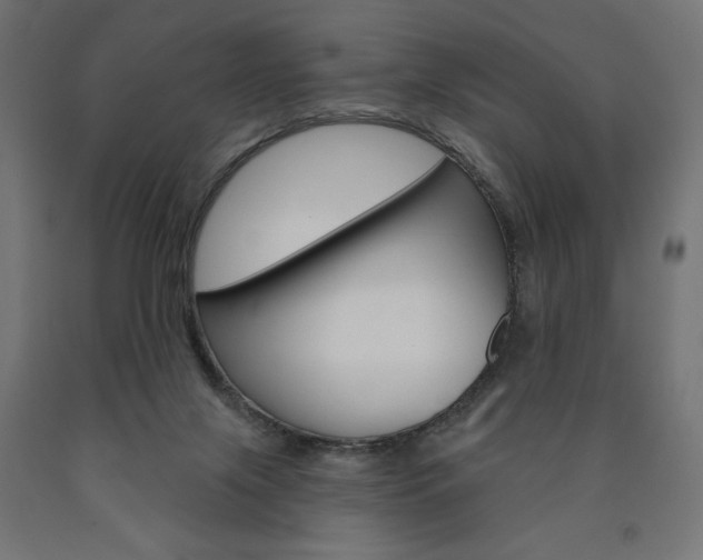X0000090980071200708021150
