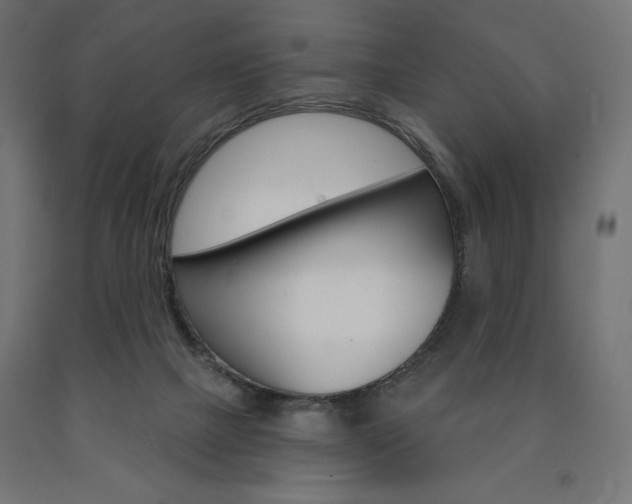 X0000090980073200708021150