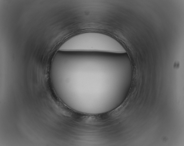 X0000090980074200708021150