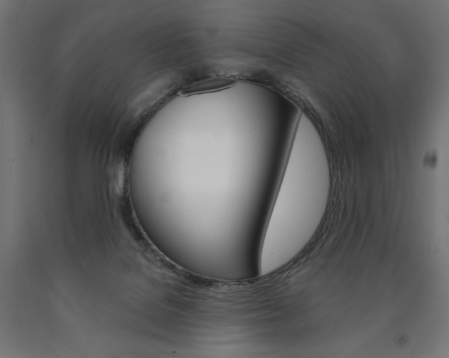 X0000090980076200708021150