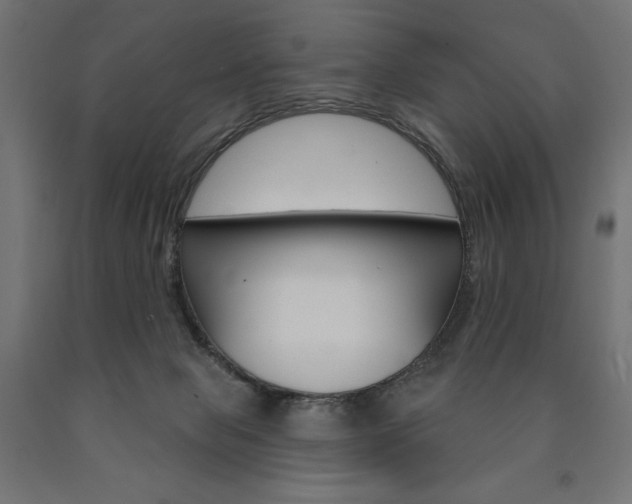 X0000090980077200708021150