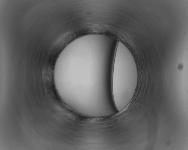 X0000090980078200708021150