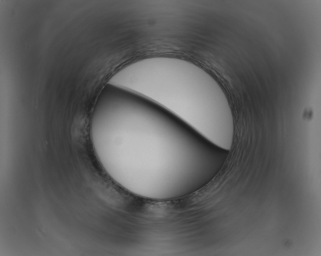 X0000090980079200708021150