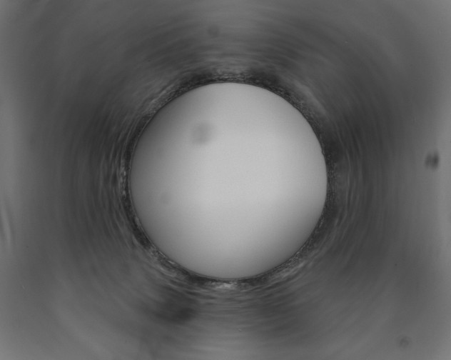 X0000090980083200708021150
