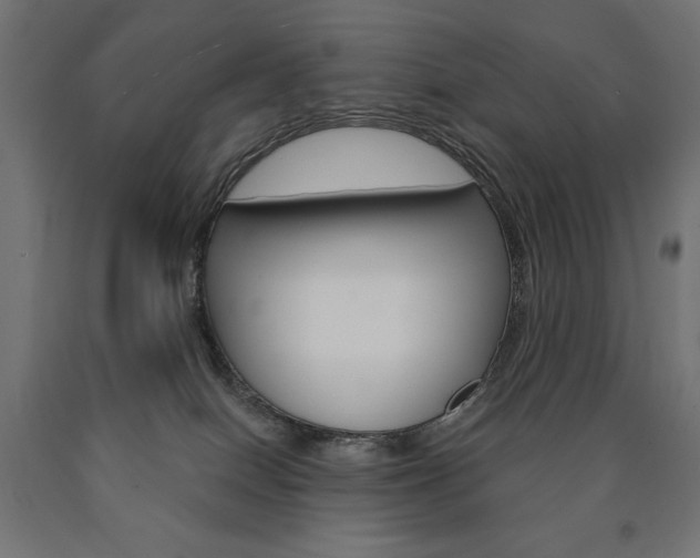 X0000090980086200708021150