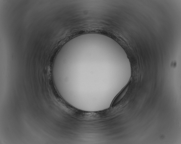 X0000090980087200708021150
