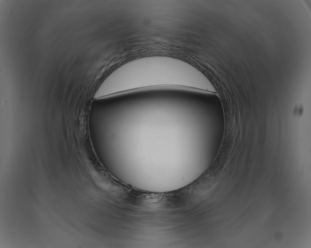 X0000090980088200708021150