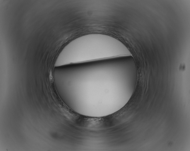 X0000090980089200708021150