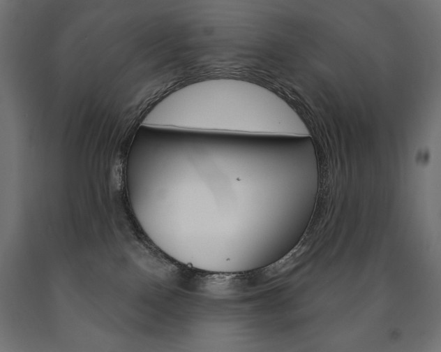 X0000090980090200708021150