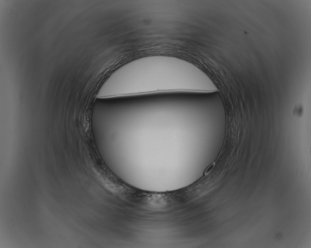 X0000090980091200708021150