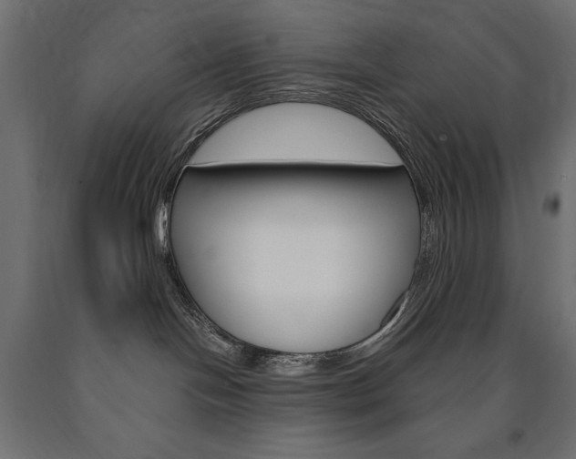 X0000090980094200708021150