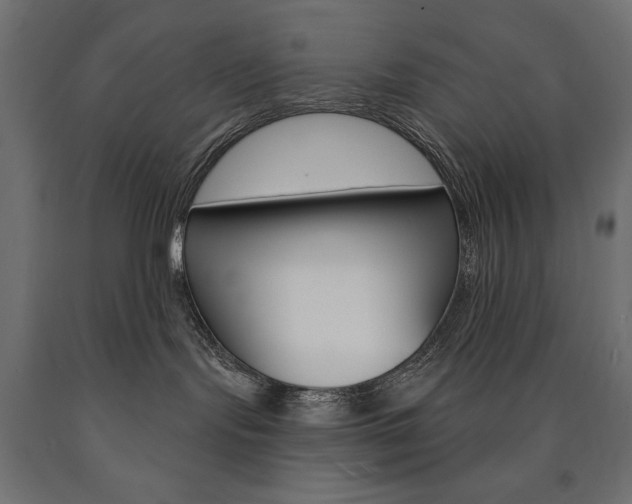 X0000090980095200708021150