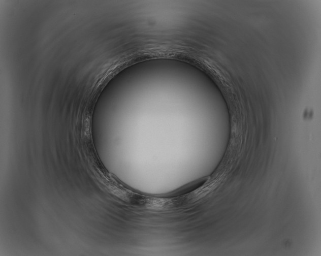 X0000090980096200708021150