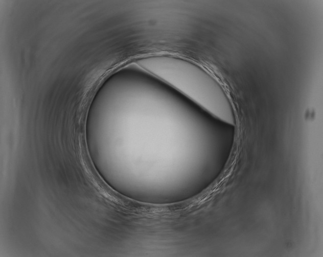 X0000090980097200708021150