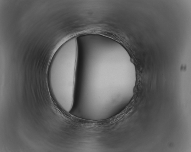 X0000090980100200708021150