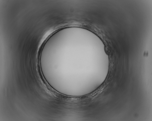 X0000090980102200708021150